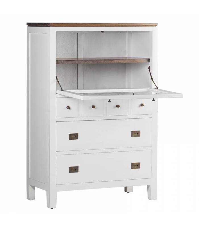 Cómoda puerta abatible de cristal 4 cajones pequeños 2 puertas