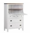 Cómoda puerta abatible de cristal 4 cajones pequeños 2 puertas